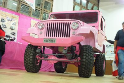 UNICO JEEP GAY DO BRASIL