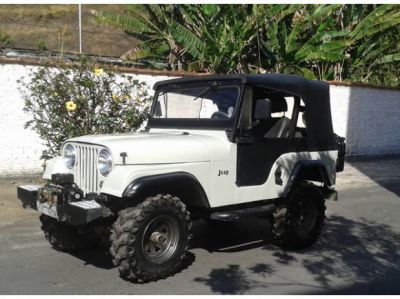 WILLYS CJ-5 1965 - AP