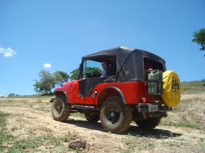 WILLYS 6CC 1959