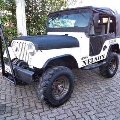 Jeep Willys para Trilha