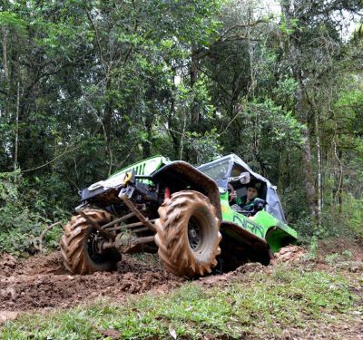 jeep willys 1951 Cj3 a