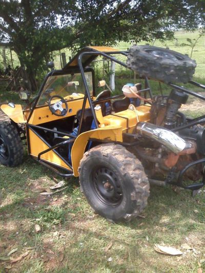 Gaiola Buggy Motor Ap 1.6