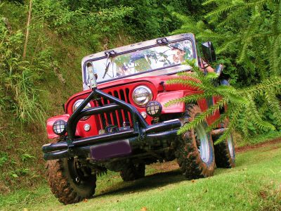 Jeep Willys Imperdível