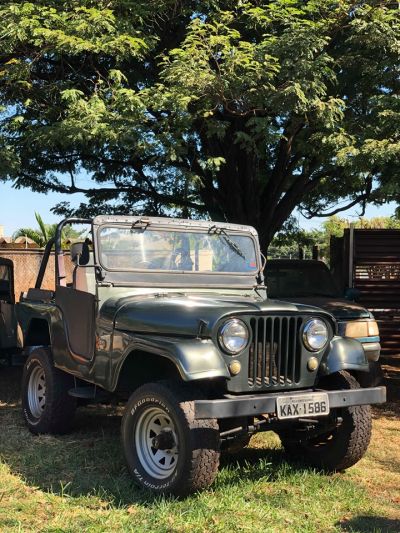 Willys Overland Ano 66